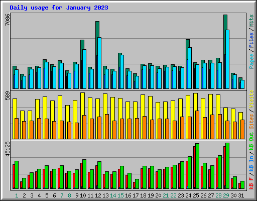 Daily usage for January 2023