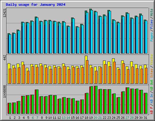 Daily usage for January 2024