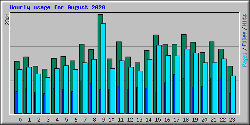 Hourly usage for August 2020