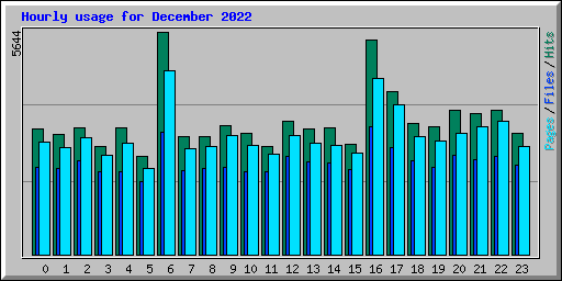 Hourly usage for December 2022