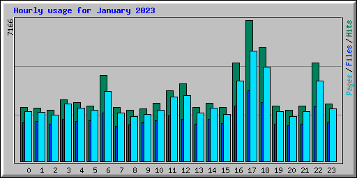 Hourly usage for January 2023