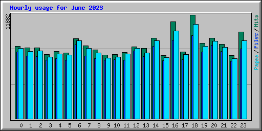 Hourly usage for June 2023