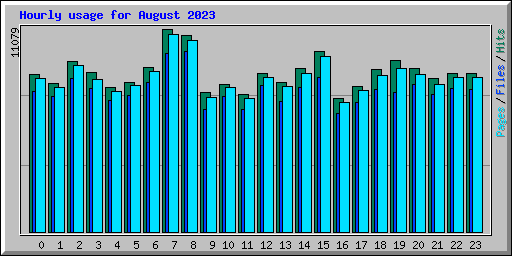 Hourly usage for August 2023