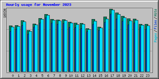 Hourly usage for November 2023