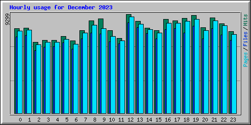 Hourly usage for December 2023