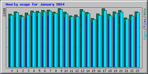 Hourly usage for January 2024