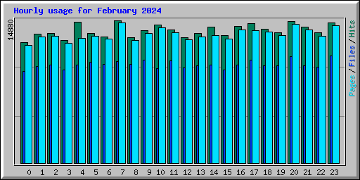 Hourly usage for February 2024