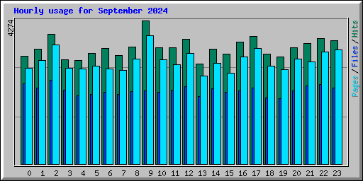 Hourly usage for September 2024