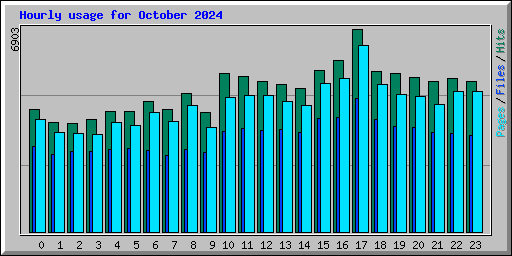Hourly usage for October 2024