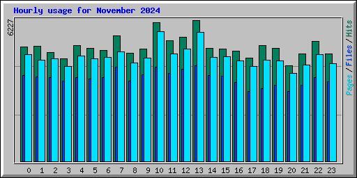 Hourly usage for November 2024