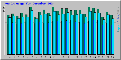 Hourly usage for December 2024