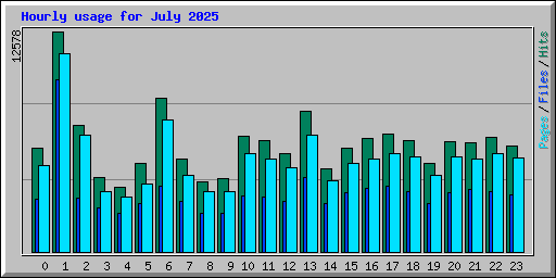 Hourly usage for July 2025