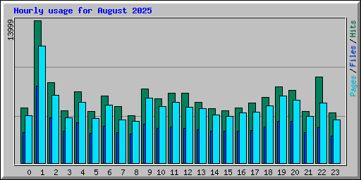 Hourly usage for August 2025