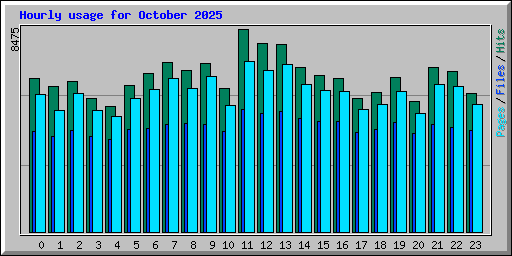 Hourly usage for October 2025