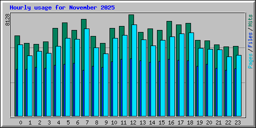 Hourly usage for November 2025
