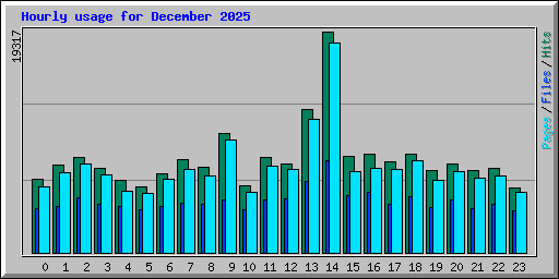 Hourly usage for December 2025