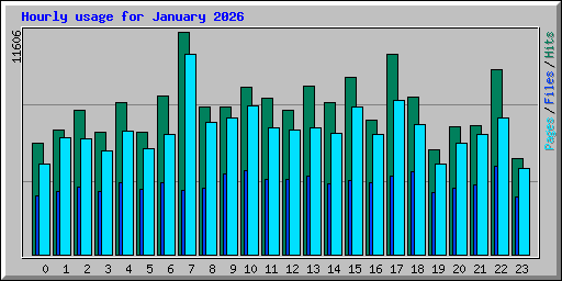 Hourly usage for January 2026