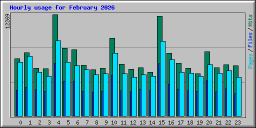 Hourly usage for February 2026